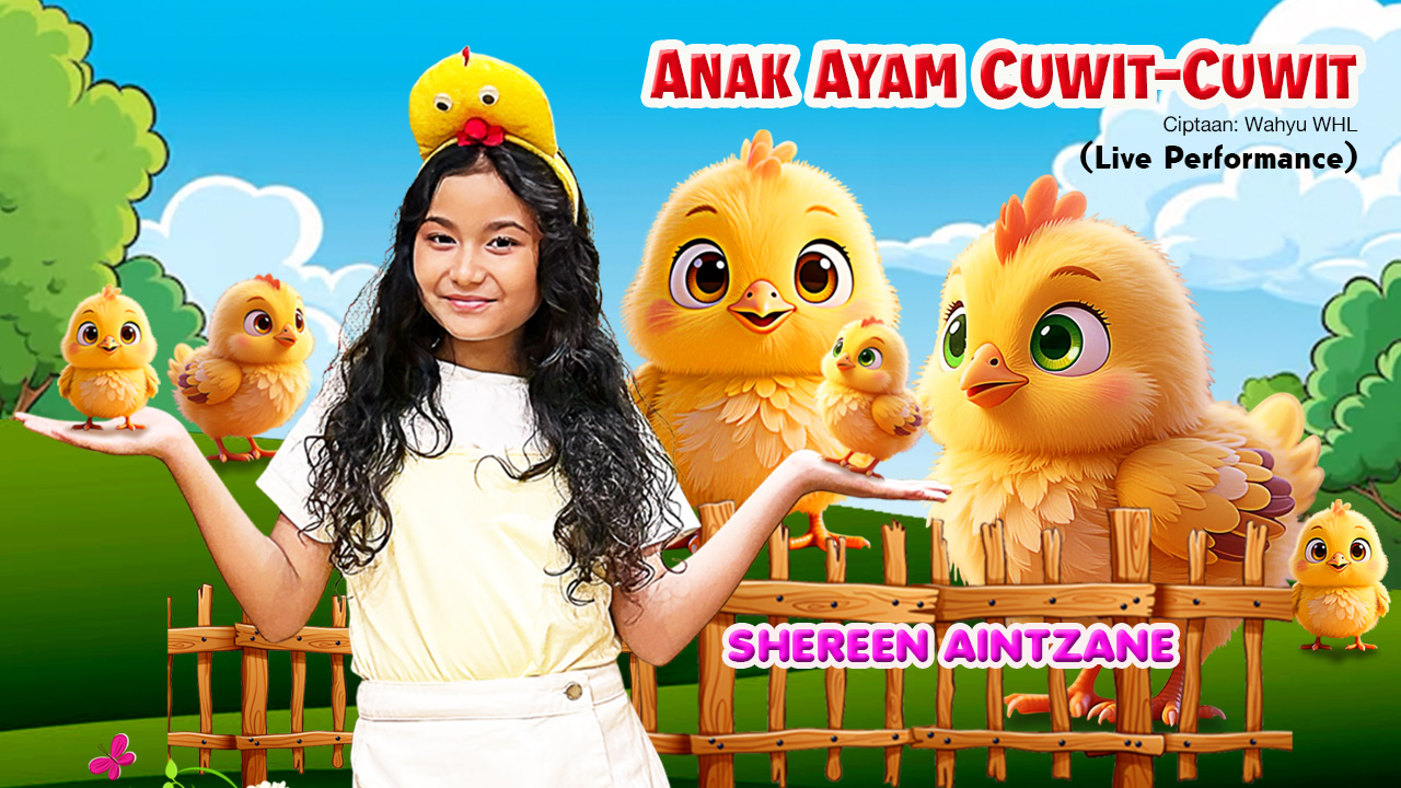 🐣🎤 ANAK AYAM CUWIT-CUWIT – SHEREEN AINTZANE | Live Performance Bandung